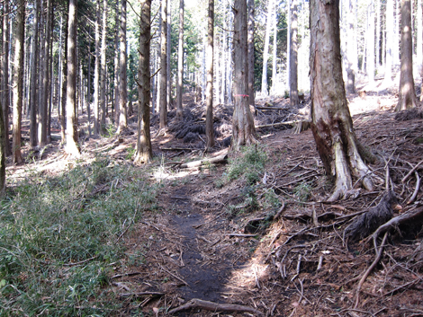 20200122hike (141)